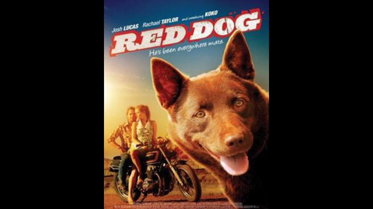 Film : Red dog