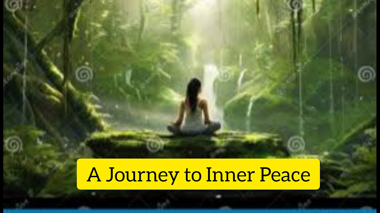 Forest Contemplation: A Journey to Inner Peace