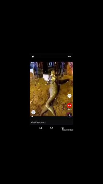Man eating Mermaid Caught on camera