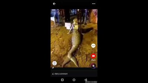 Man eating Mermaid Caught on camera