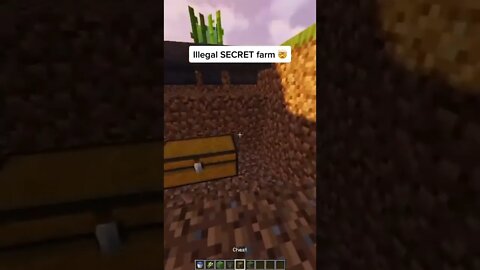 Minecraft #tiktok #Shorts