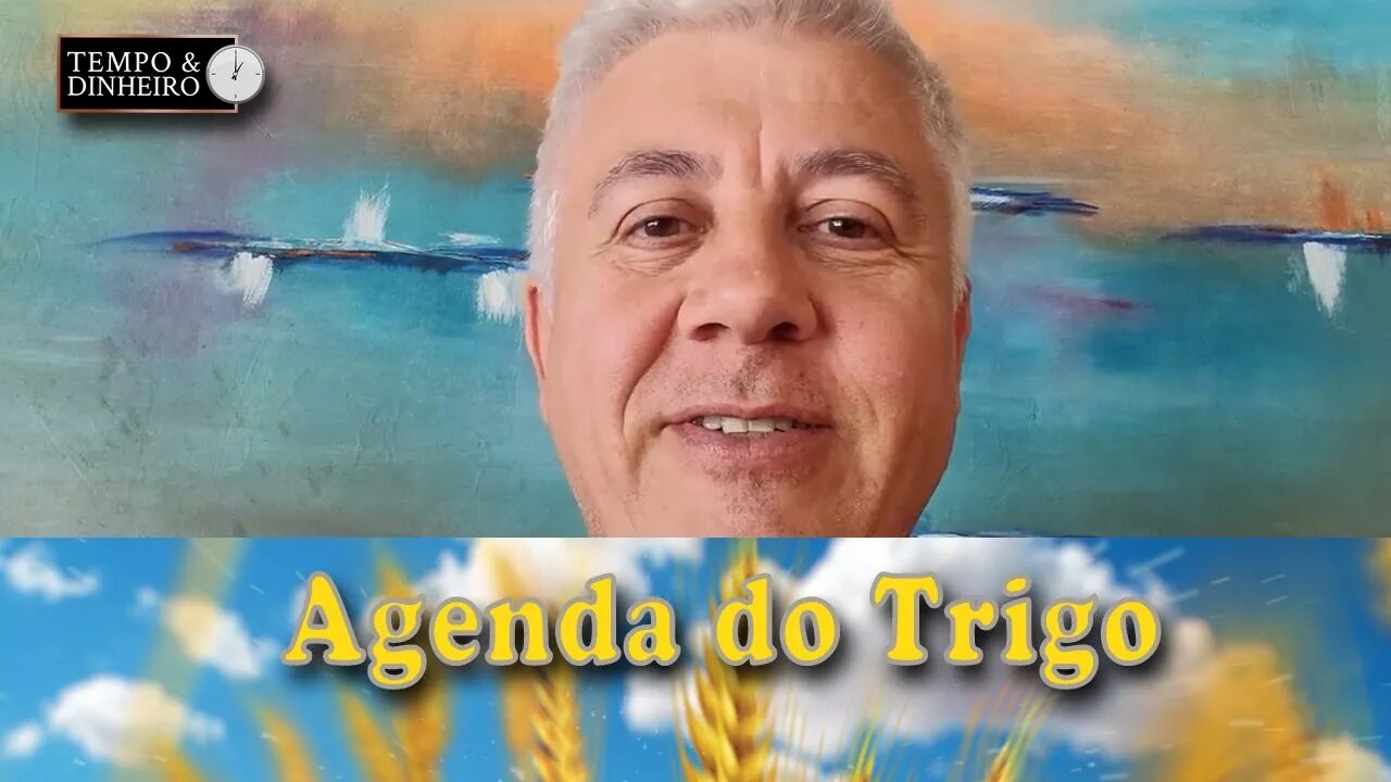 O custo dos alimentos aumenta na medida do aumento dos preços dos insumos