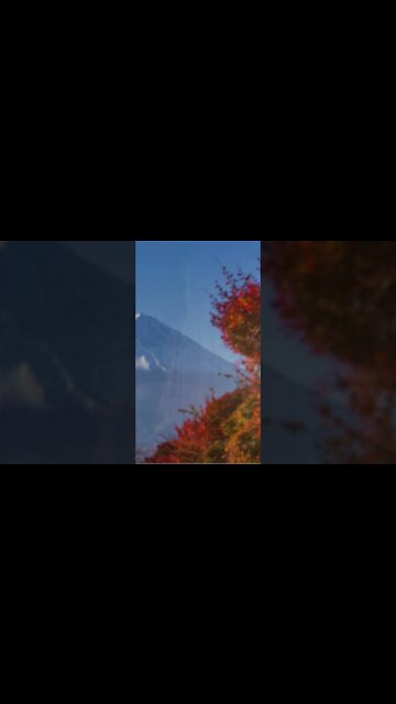 RELAXING MUSIC/DEEP SLEEP MUSIC/autumn ambience music #shorts