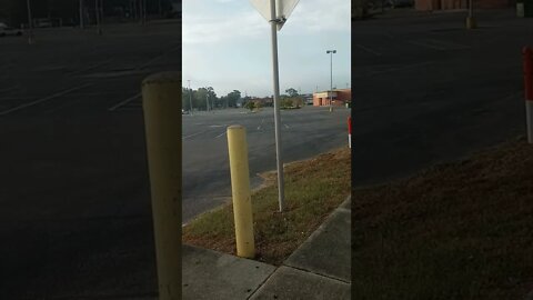 Bus Stop #gangstalking 10/17/2022