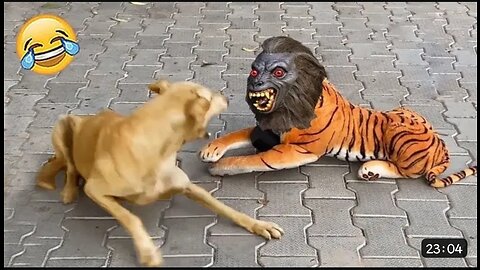 | Funny and cute animals videos |🤗🤗🤣 #funny #cute #dogs #cats #cutesnimals