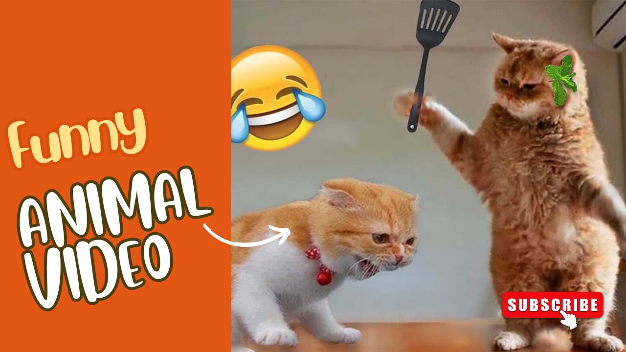 Funniest Cat and Dog Video's 😂 2024 - Best funny Animals Video.