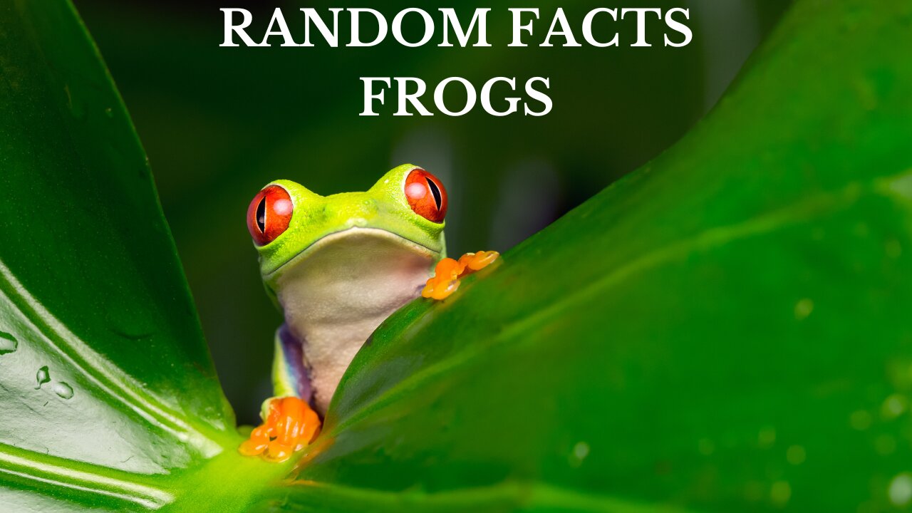 Random Facts - Frogs