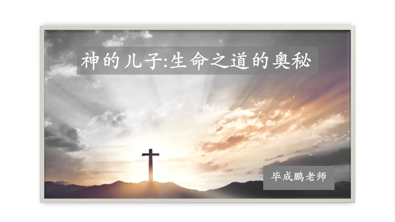 神的兒子：生命之道的奧秘