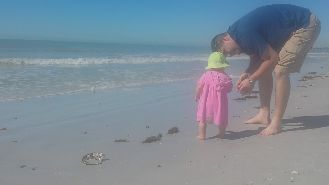 Beach Babies 2