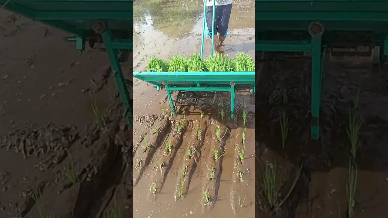 Testing of Manual Rice Transplanter 1st unit.