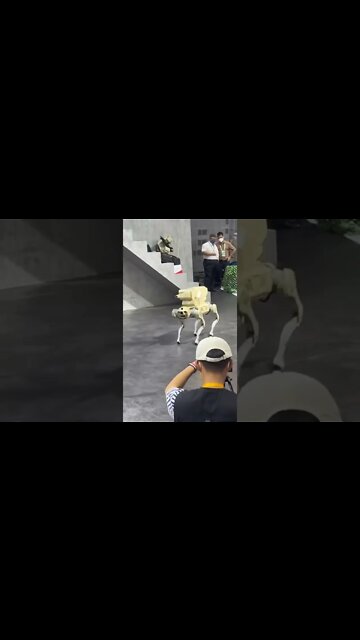 A robot dog equipped with a howitzer displayed at the Zhuhai Air Show