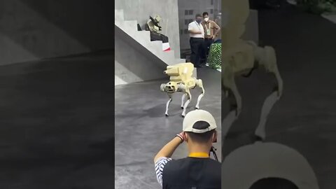 A robot dog equipped with a howitzer displayed at the Zhuhai Air Show