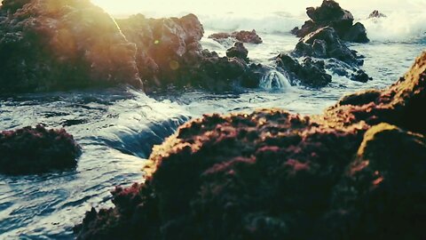 Beautiful Nature