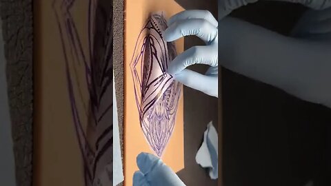 Stencil Reveal