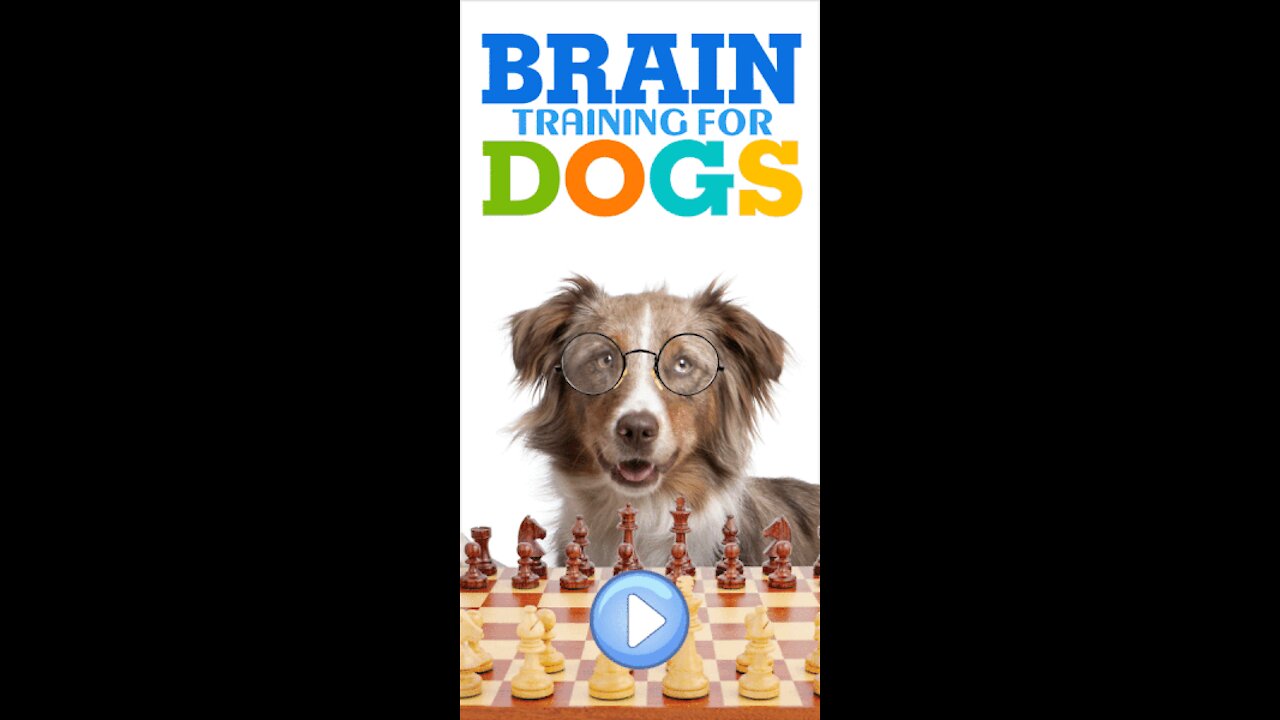 Train and Develop Your Dogs