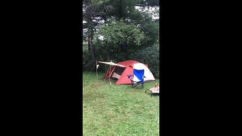 “Loverman” on a Besson 609