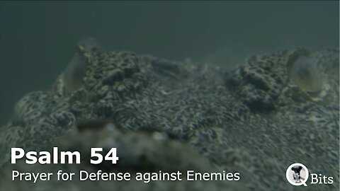 PSALM 054 // PRAYER FOR DEFENSE AGAINST ENEMIES