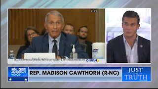 Rep Cawthorn: We Want To Prosecute Fauci If GOP Takes Control Of House Of Rep