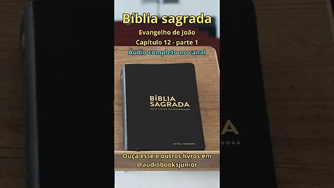 Bíblia Sagrada - Evangelho de João - Capítulo 12 - parte 1