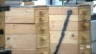 Businesses prep for mask requirement
