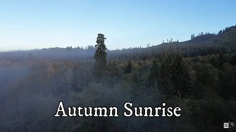 Aerial View of the Autumn Sunrise