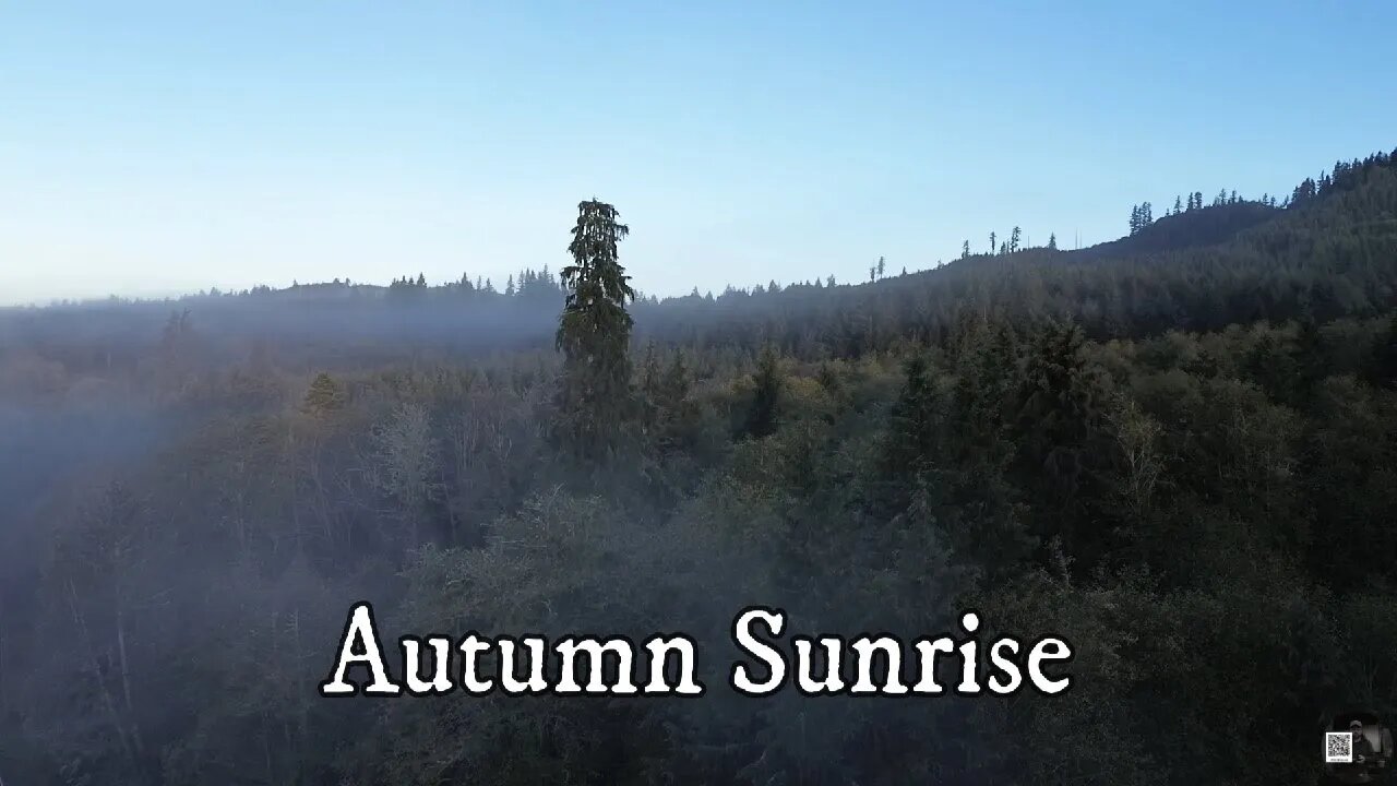 Aerial View of the Autumn Sunrise