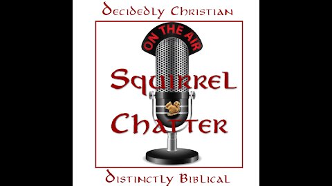 Squirrel Chatter Live 17AUG2021