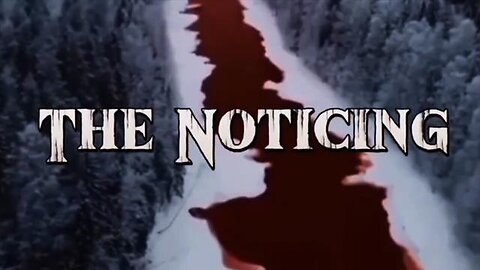 THE NOTICING: A timeline 2022-2024