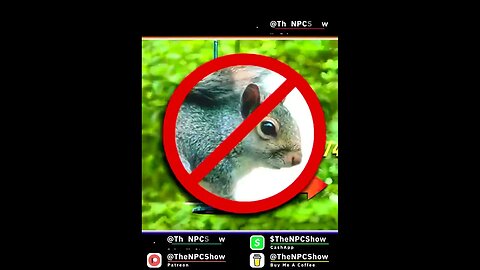 A Motorized Squirrel Proof Bird Feeder 🟠⚪🟣 NPC Parents