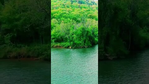 Nature beauty #shorts #viral #indian