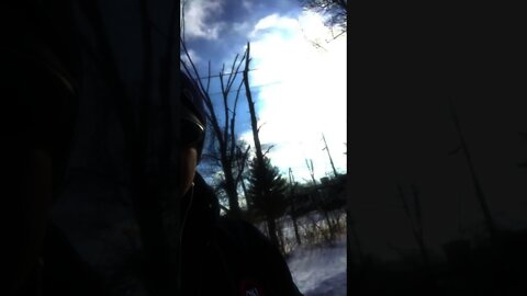 Gang stalkers & home grown telco cyber terrorists emf broadcasting human trafficking fraud