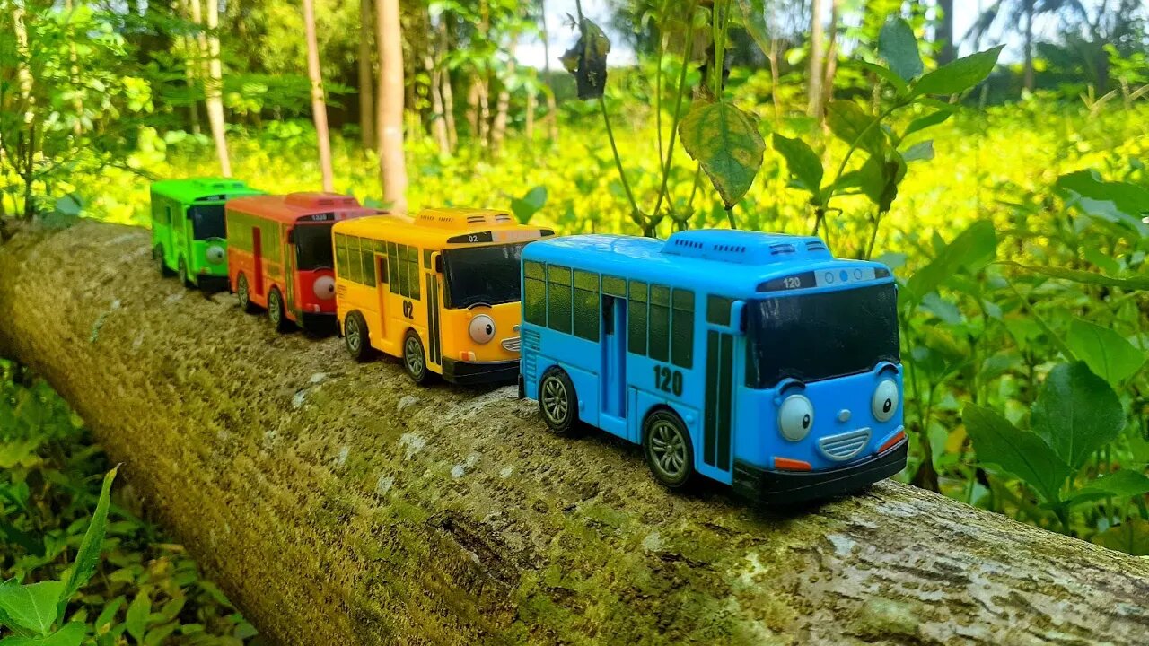 Mencari dan Menemukan Mainan Bus Tayo, Lani, Gani dan Rogi di Batang Pohon Tumbang Yang Ada di Kebun