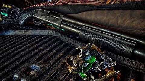 Younger generation are more pro gun and less supportive of gun control laws