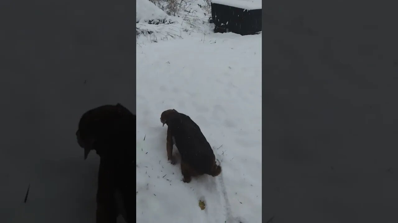 Don't Eat Yellow Snow.. 😉