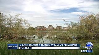 A pond becomes a problem at family's dream home