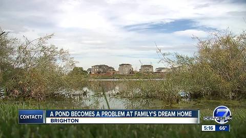 A pond becomes a problem at family's dream home