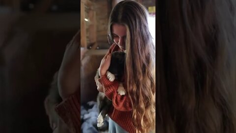 Livestock Guardian Puppies | Heartway Farms #shorts #puppies #fyp #babyanimals #fall