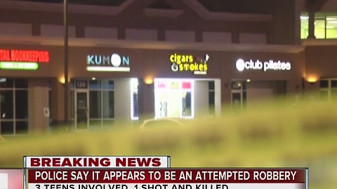 Smoke shop clerk fatally shoots teen in apparent attempted robbery