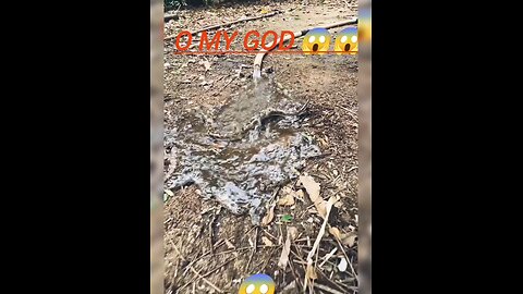 o my God this is impossible 😱😱🔥#snake#viral#short🚫 #rumbale#video