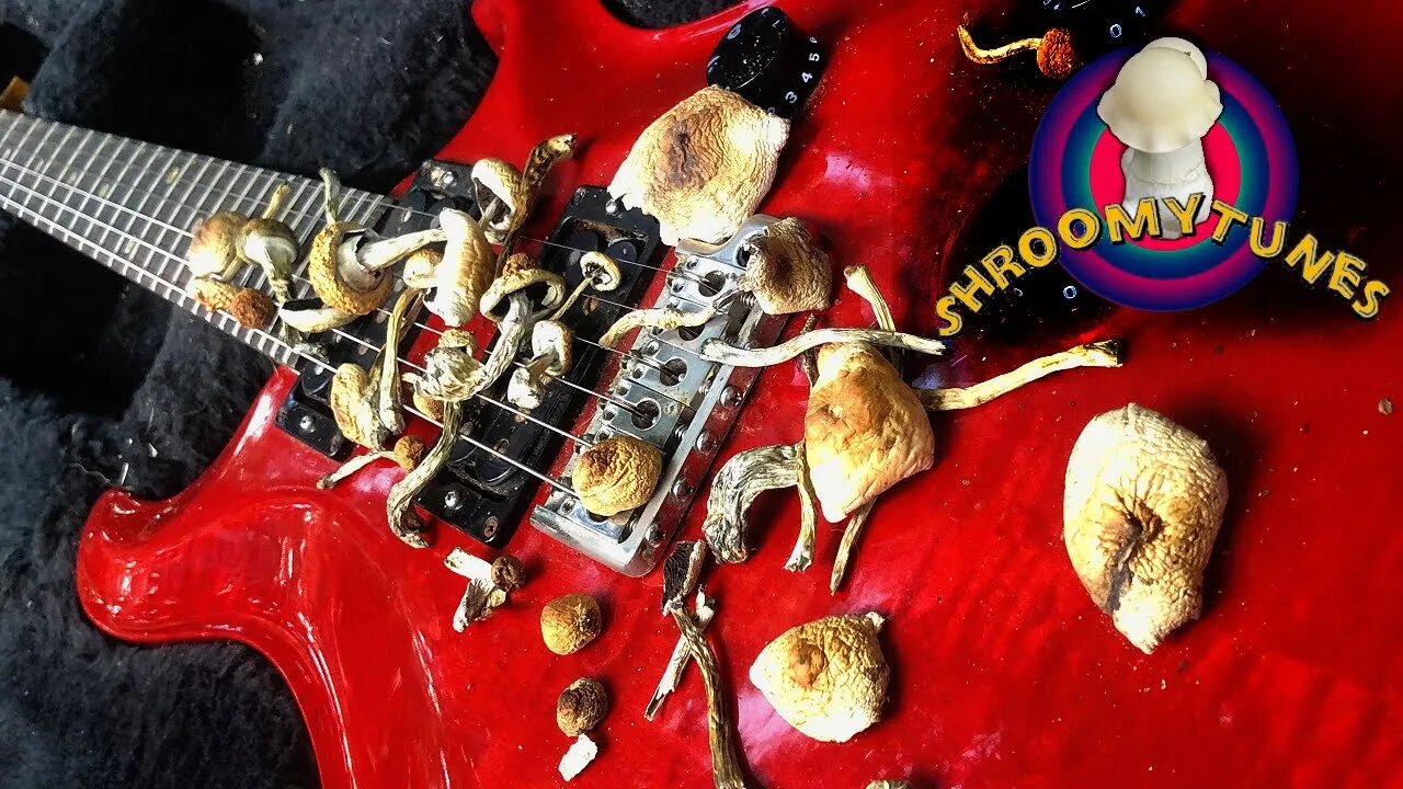 Live Tripping Jam and Chill (Grateful Dead, Tool, Phish, Floyd. etc)