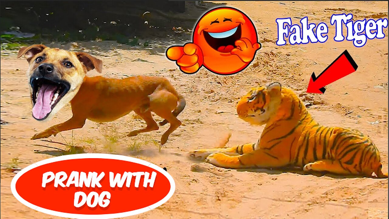 Fake Lion Prank With Dogs Funny Videos 2023 P3