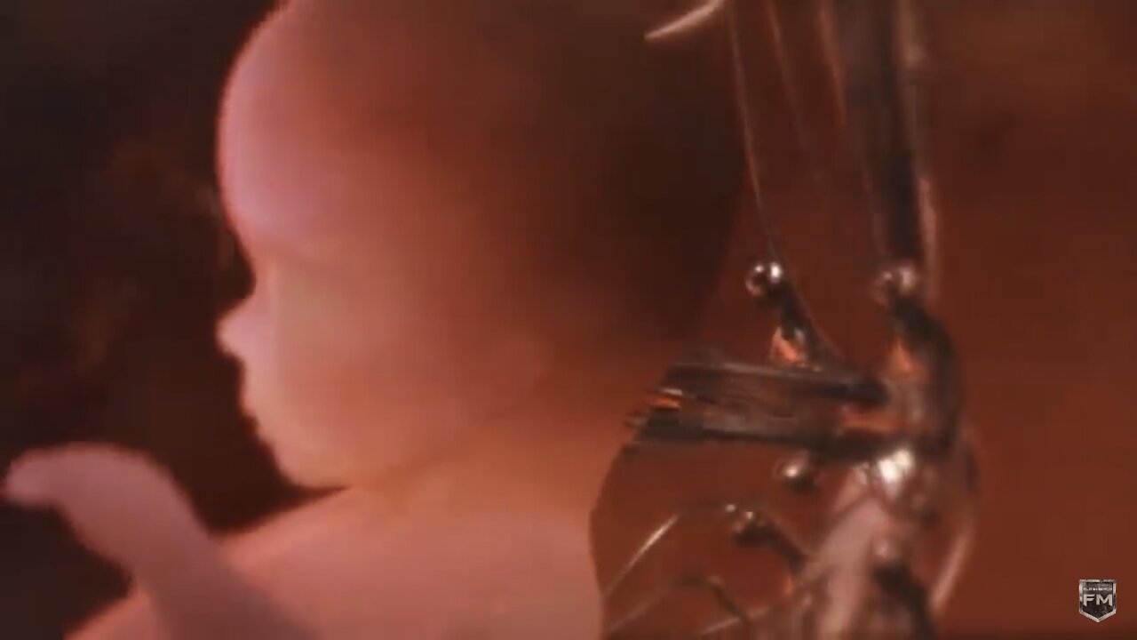 THE MATRIX: ARTIFICIAL POPULATION CONTROL