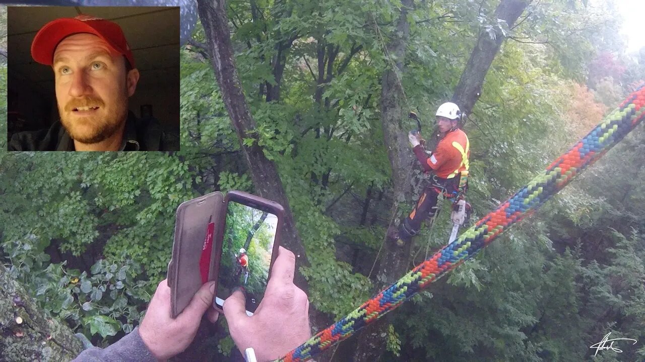 Dropping a Top with a Tag Line | Arborist Rigging & Tree Work Basics in Real Time