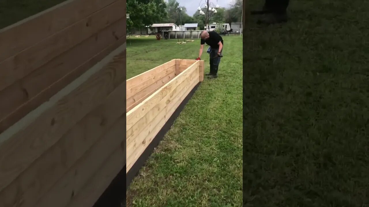 Strong 💪 Guys & Raised Beds 🙋♀️🛌 🌱🌱 #thanks #shorts #viral #trending #tiktok #raisedbedgarden