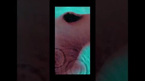 "ECHOES" DO PINK FLOYD: UMA APRECIAÇÃO | ROCK PROGRESSIVO E EXPERIÊNCIA ESTÉTICA #shorts