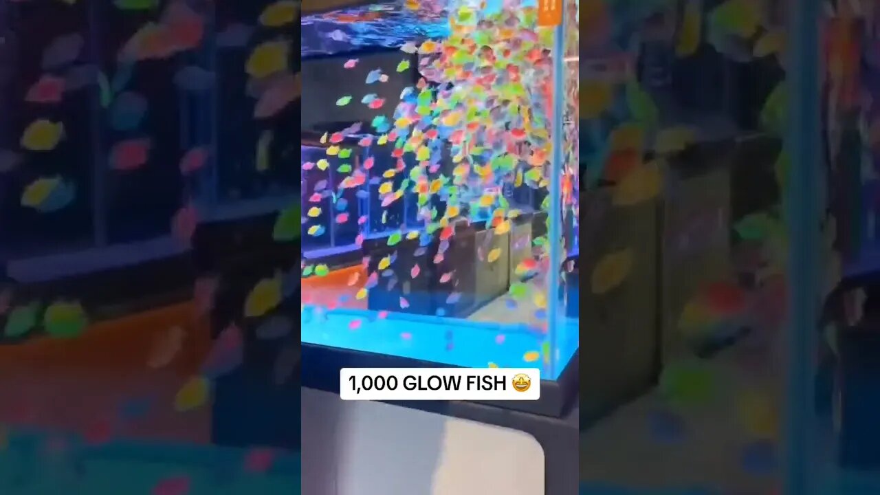 Skittle fish anyone? #ytshorts #rainbowfish