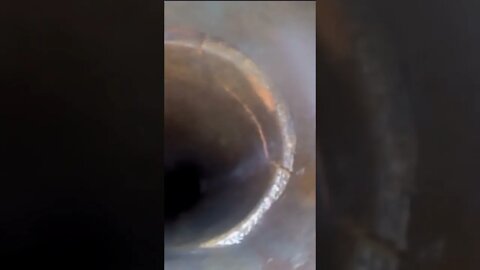 Cockroaches and broken clay pipes #youtubeshorts