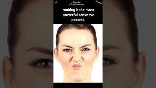 The human nose