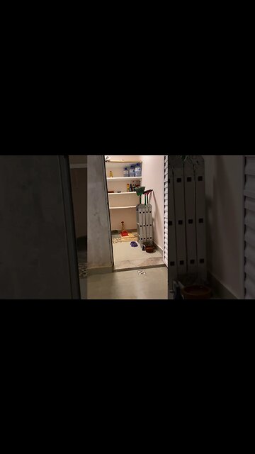 Julieta não pode ver um colo que já pula #shorts