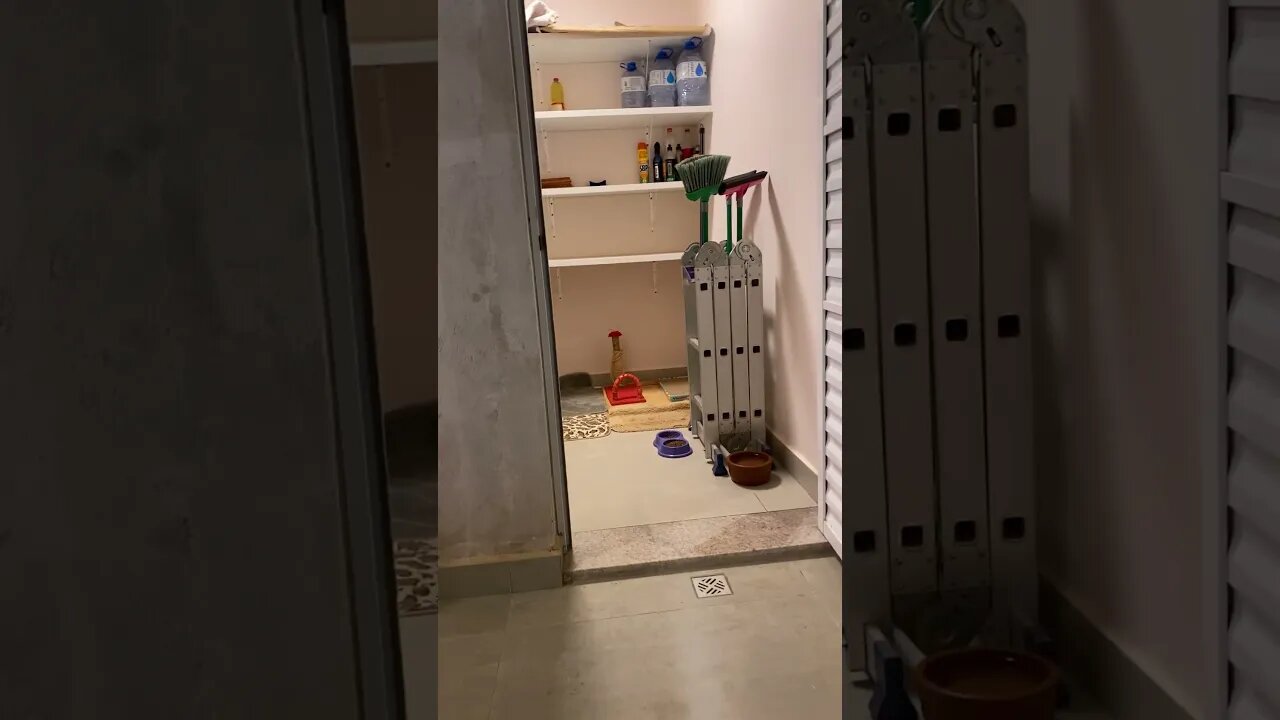 Julieta não pode ver um colo que já pula #shorts